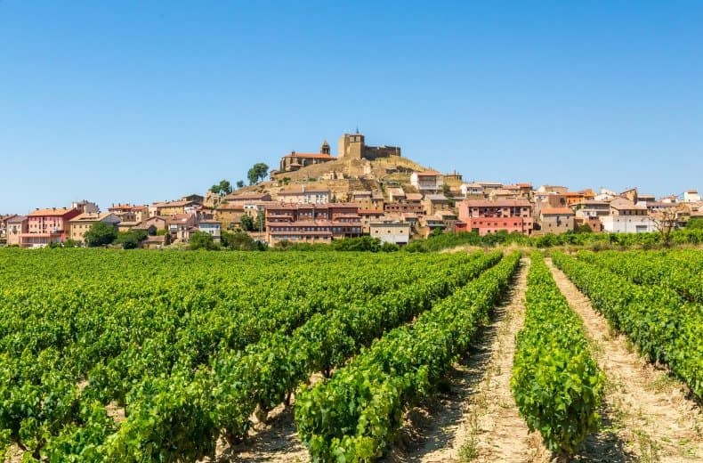 basque vineyard rac 